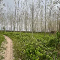 فروش ۶۷۰ متر زمین باغ سند تک برگ/معاوضه با ماشین