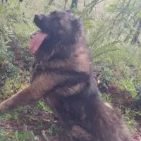 سراب ذات قدیم