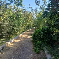 باغ نزدیک رود خانه ی زاینده رود پیربکران اصفهان|فروش زمین و ملک کلنگی|اصفهان, بوستان آینه خانه|دیوار