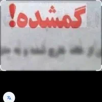 شناسنامه گمشده