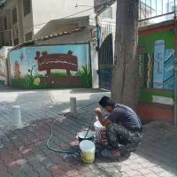 نیرو نقاش حرفه ای