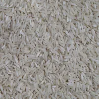 برنج دم سیاه شوراب