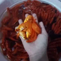 ماهی قرمز عید|ماهی|تربت‌حیدریه, باغ سلطانی|دیوار