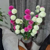 ۶ شاخه گل خارجی