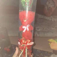 شیشه گل|گل مصنوعی|کرج, حصار|دیوار