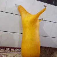 پوست