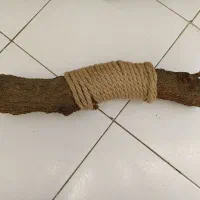 اسکرچر گربه