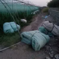 انجام  کارهای گلخانه پلاستیک کنی و بته کنی