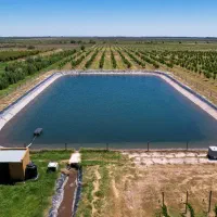 زمین-کشاورزی-همراه-اتاق-استخر-دامداری-درختان-مسمر