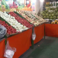 فروش پالت میوه فروشی|فروشگاه و مغازه|تهران, استاد معین|دیوار