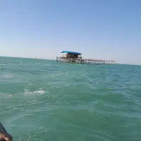 تور نو و دسته دو موجود میباشد