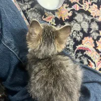 واگذاری بسیار آروم و مهربون