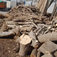 خریدار چوب انجیر  کیلویی۱۰هزار