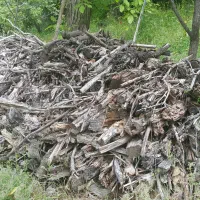 چوب ضایعاتی والوار توت ۳۰۰ساله|حراج|موچش, |دیوار