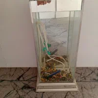 آکواریوم درحدنو