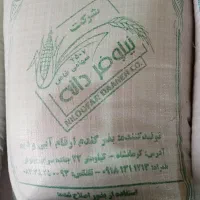 بذر گندم پیشگام آبی|گل و گیاه طبیعی|بیستون, |دیوار