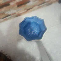 تنگ ماهی|ماهی|شیروان (خراسان), |دیوار