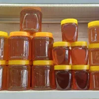 عسل های طبیعی کوه های لرستان|خوردنی و آشامیدنی|قم, پردیسان|دیوار