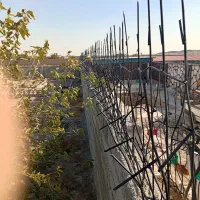 تولیدی حفاظ شاخ گوزنی|خدمات پیشه و مهارت|شهریار, دهشاد پائین|دیوار