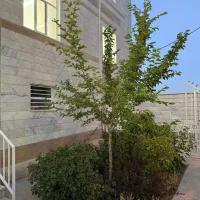 130متر3خواب/فول امکانات/اخذوام مسکن/ارزشمند