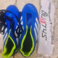 کتونی سالنی