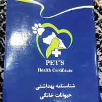 سگ تری یر زرنگ و بازی گوش دارای شناسنامه ۴/۵۰۰|سگ|مشهد, کشاورز|دیوار
