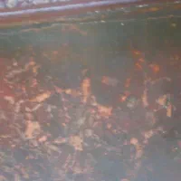 قران ارزشمند چاپ سنگی