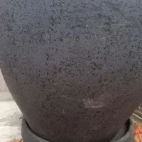 فروش گلدان سفالی|گل و گیاه طبیعی|کرج, شهرک فهمیده|دیوار