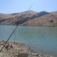 لنسر ماهیگیری