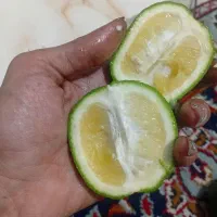 نارنج و آب نارنج بهشهر درشت و آبدار|حراج|بهشهر, |دیوار