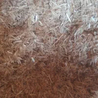 کاه دانه گندم|لوازم جانبی حیوانات|مانه, |دیوار