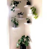 دیوار های خود را با شلف های ما زیبا کنین