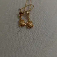 گوشواره لاکپشتی نوزادی