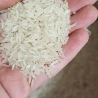 عرضه برنج مستقیم از شمال|خوردنی و آشامیدنی|نیشابور, هفده شهریور|دیوار