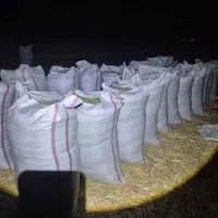 یونجه شلیف گرفته درجه یک خرمنکوب