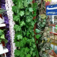 انواع ریسهای برگ تزیینی