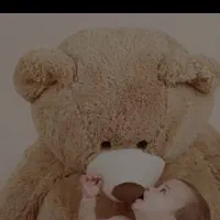 خرس شیک دومتری