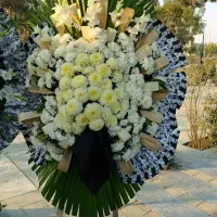 تاج گل|عمده‌فروشی|ری, علایین|دیوار