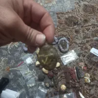 سنگ سلطانی وزوعیه|جواهرات|زاهدان, |دیوار