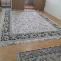 فرش و رگال لباس