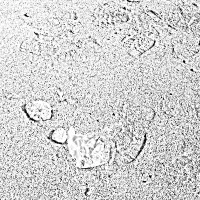 نیازمند ضامن