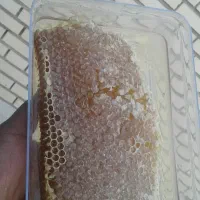 عسل درجه یک چهارمحال بختیاری|خوردنی و آشامیدنی|اردکان, |دیوار