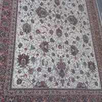 فرش شگی و فرش ۶ متری|فرش|کرمانشاه, |دیوار