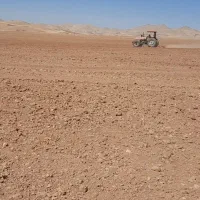 زمین رهنی به مساحت 6 هکتار