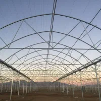 گلخانه ۸۰۰۰