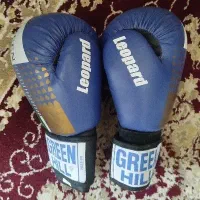 دستکش بوکس|تجهیزات ورزشی|شیراز, طلاب|دیوار