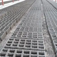 راننده نیسان