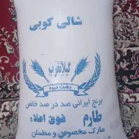 برنج طارم درجه 1