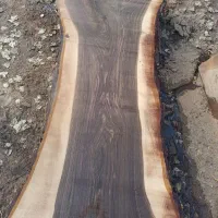 اسلب چوب گردو