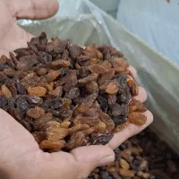 خرید و فروش کشمش آفتابی